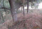 Sòl urbà en venda a la España, Jorba, ref.: TR134471 foto
