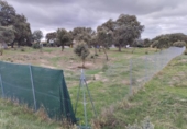 Suelo urbano en venta en la España, San Román de los Montes, ref: TR124029 foto