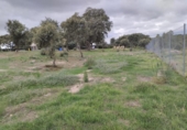 Suelo urbano en venta en la España, San Román de los Montes, ref: TR124029 foto