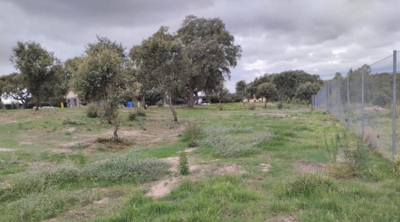 Toledo - San Román de los Montes - 3500m2
