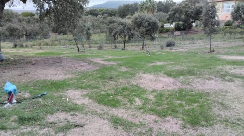 Toledo - San Román de los Montes - 3500m2