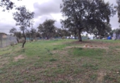 Suelo urbano en venta en la España, San Román de los Montes, ref: TR124029 foto