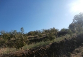 Non-developable land for sale on España, Valdastillas, ref: TR113032 photo