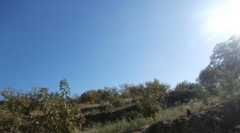 Cáceres - Valdastillas - 18000m2