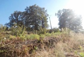Valdastillas 18000&nbsp;m²