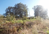 Non-developable land for sale on España, Valdastillas, ref: TR113032 photo