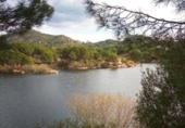Sòl urbà en venda a la España, Encinarejo de Córdoba, ref.: TR219028 foto