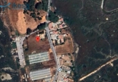 Non-developable land for sale on España, Cartaya, ref: TR219196 photo