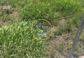 Urban land for sale on España, Albaida, ref: TR246868 photo