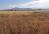 Non-developable land for sale on España, Salinas, ref: TR118017 photo