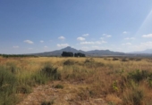 Non-developable land for sale on España, Salinas, ref: TR118017 photo
