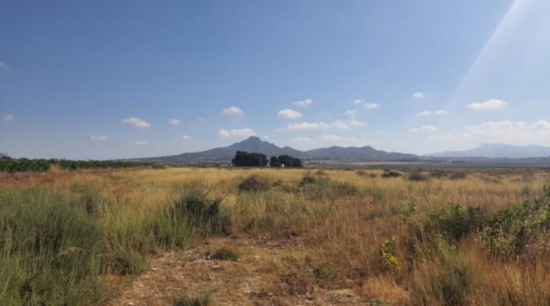 Alicante - Salinas - 20913m2