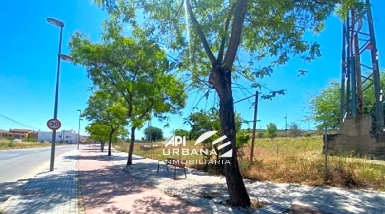 Córdoba - Lucena - 500m2