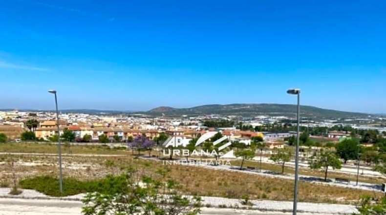 Córdoba - Lucena - 500m2