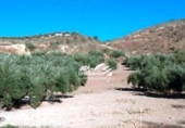 Terreny no urbanitzable en venda a la España, Priego de Córdoba, ref.: TR143379 foto