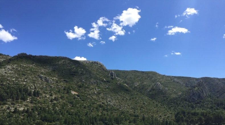 Alicante - Pedreguer - 854m2