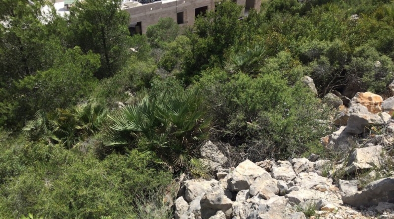 Alicante - Pedreguer - 854m2