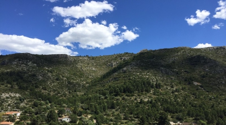 Alicante - Pedreguer - 854m2