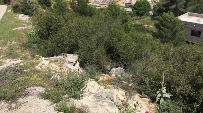 Alicante - Pedreguer - 854m2