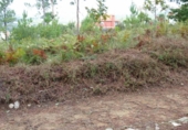 Non-developable land for sale on España, Vigo, ref: TR113834 photo