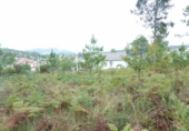 Non-developable land for sale on España, Vigo, ref: TR113834 photo