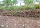 Non-developable land for sale on España, Vigo, ref: TR113834 photo