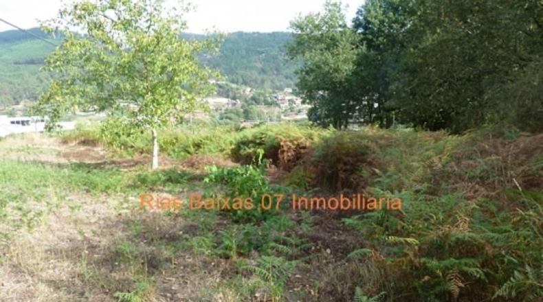 Pontevedra - Porriño - 1374m2