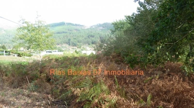 Pontevedra - Porriño - 1374m2