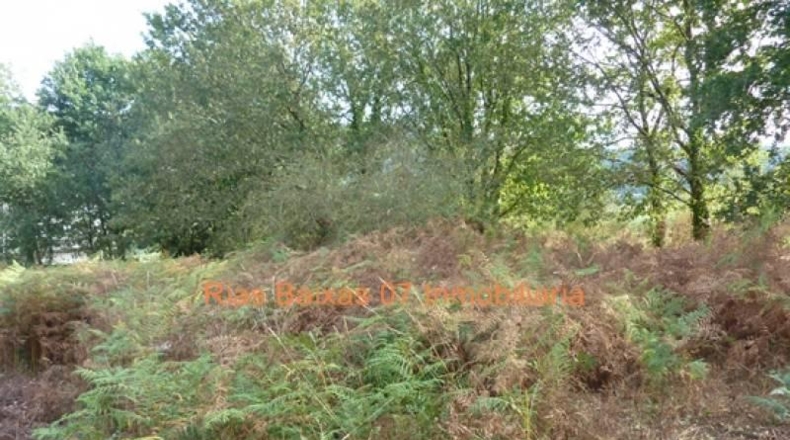 Pontevedra - Porriño - 1374m2
