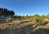Terreny no urbanitzable en venda a la España, Los Barrios, ref.: TR359953 foto