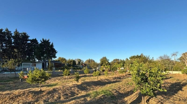 Cádiz - Los Barrios - 800m2