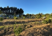 Terreny no urbanitzable en venda a la España, Los Barrios, ref.: TR359953 foto