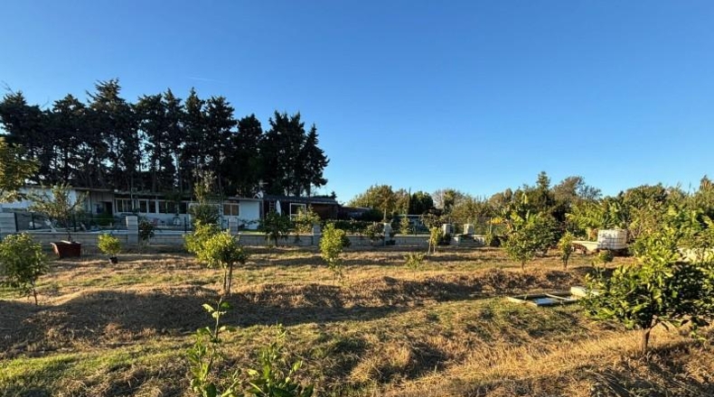 Cádiz - Los Barrios - 800m2