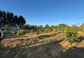 Terreny no urbanitzable en venda a la España, Los Barrios, ref.: TR359953 foto