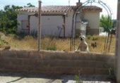 Casa de poble en venda a la España, la Joncosa del Montmell, ref.: TR341825 foto