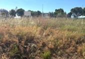 Land suitable for development for sale on España, Gerena, ref: TR248253 photo