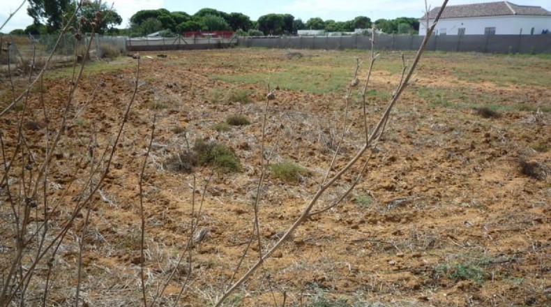 Cádiz - Chipiona - 2500m2