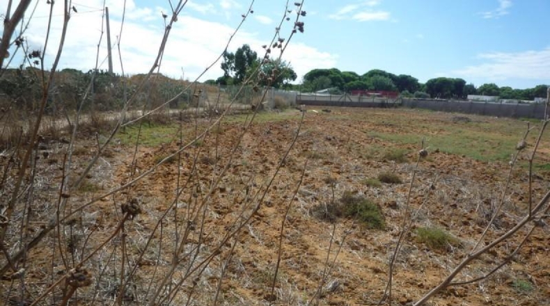 Cádiz - Chipiona - 2500m2