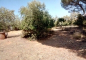 Sòl urbà en venda a la España, Còrdova, ref.: TR219024 foto