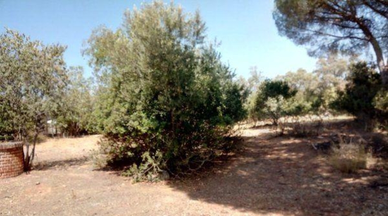 Córdoba - Córdoba - 1080m2
