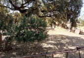 Sòl urbà en venda a la España, Còrdova, ref.: TR219024 foto