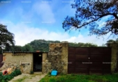 Non-developable land for sale on España, Almonaster la Real, ref: TR220565 photo