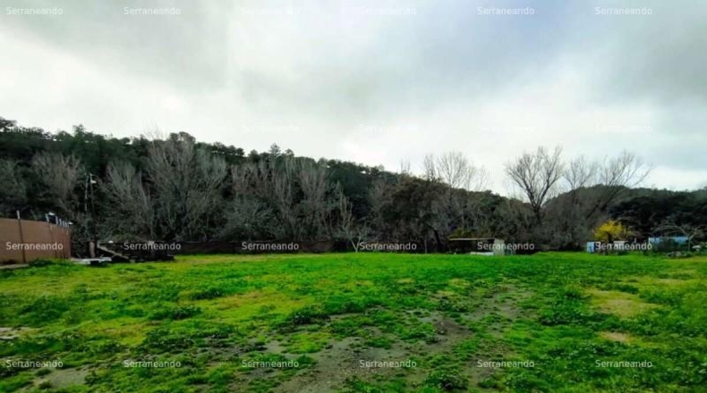 Huelva - Almonaster la Real - 1960m2