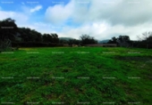 Non-developable land for sale on España, Almonaster la Real, ref: TR220565 photo
