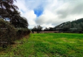 Non-developable land for sale on España, Almonaster la Real, ref: TR220565 photo