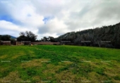 Non-developable land for sale on España, Almonaster la Real, ref: TR220565 photo