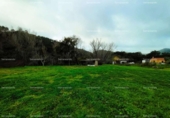 Non-developable land for sale on España, Almonaster la Real, ref: TR220565 photo
