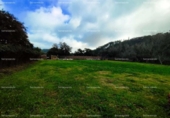 Non-developable land for sale on España, Almonaster la Real, ref: TR220565 photo