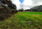 Non-developable land for sale on España, Almonaster la Real, ref: TR220565 photo