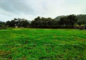 Non-developable land for sale on España, Almonaster la Real, ref: TR220565 photo